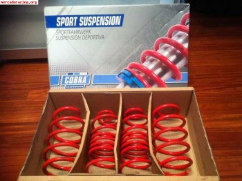 Vendo muelles cobra