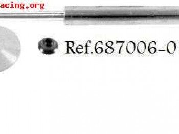 Amortiguadores pts peugeot 106