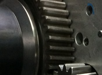 Se compra grupo para secuencial puppo