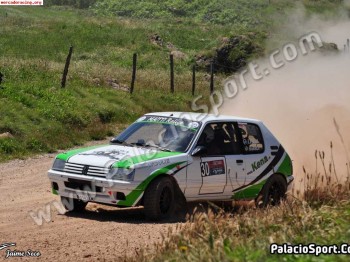 Alquiler 205 gti tope gr.a tierra