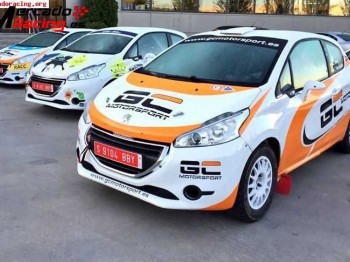 Alquiler y asistencias de vehículos de competición: peugeot 