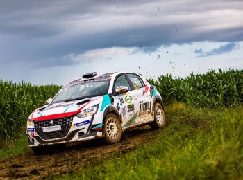 Disponible peugeot 208 rally4