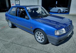 Peugeot 309 gti 16v grupo a (grupo 4 fia con pasaporte htp)