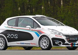 Alquiler skoda fabia r5 y peugeot 208 r2