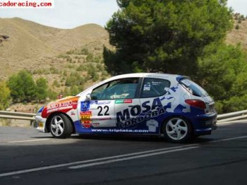 Se alquila 206 del regional andaluz