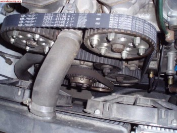 Correas de distribución especiales para seat124/131-2000