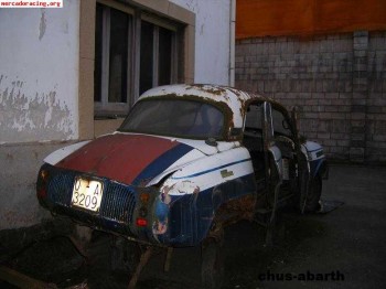 Busco y compro los restos del  asturcon 