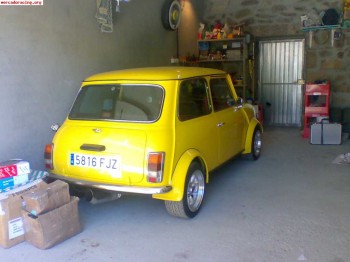 Mini cooper del 91