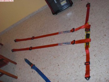 Arnes 50e con portes