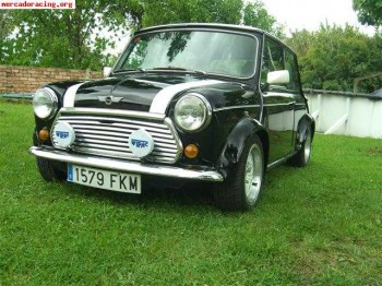 Mini 1000