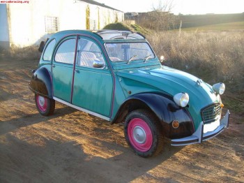 Busco clasico asturias