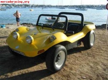 Se vende buggy