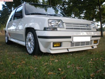 Busco renault 5 ts tx copa o copa turbo