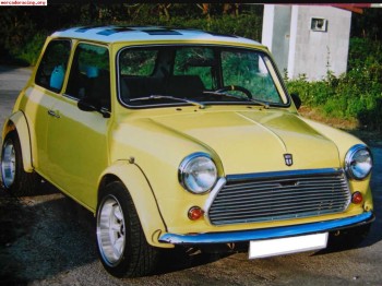 Se vende mini
