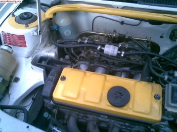 Peugeot 205 rallye grupo n