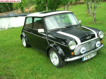 Mini del 90