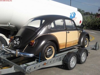 Vw escarabajo