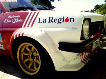 Ford fiesta grupo 2