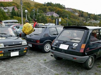 Compro aleron r5 alpine como el de la muestra