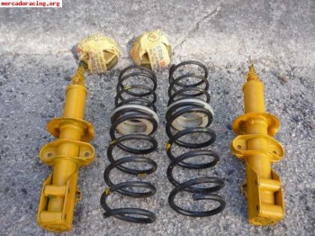 Suspension selex  copa marbella