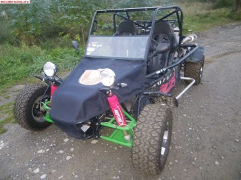 Se vende o se cambia buggy azel