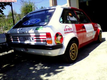 Ford fiesta grupo 2