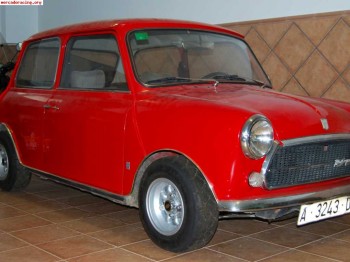 Se vende mini