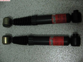 Amortiguadores traseros ax, 106 gas