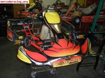 Cambio todo el material de karting kz2 por clasico