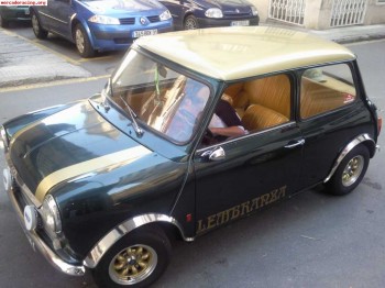Cambio o vendo mini de 1973