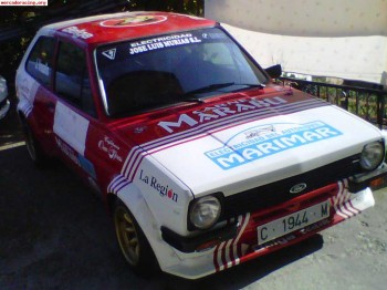 Ford fiesta grupo 2