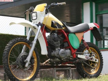 Prototipo yamaha 250