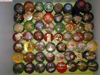 Compro pomos clasicos (conchas,caracolas,estrellas,cangrejos