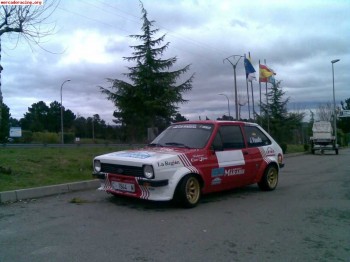 Ford fiesta grupo 2