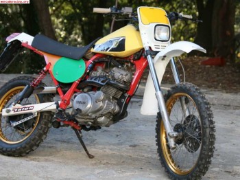 Prototipo yamaha 250