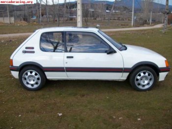 205 gti 1.9