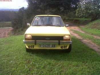 Ford fiesta mki