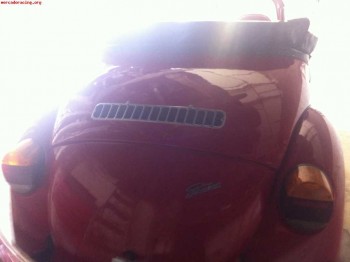 Escarabajos speenter