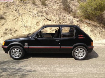 Peugeot 205 gti 