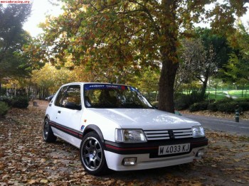 Peugeot 205 gti fase 1 colección impecable