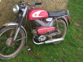 Dervi antorcha campeona mundial 49 ....3vel