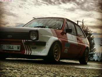 Ford fiesta grupo 2
