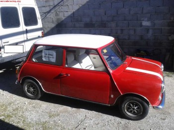 Mini 850 con  motor 1.275