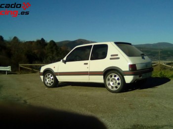 205 gti