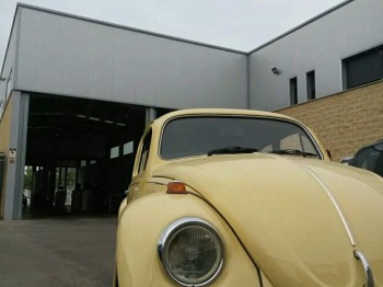 Volkswagen escarabajo