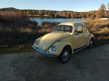 Volkswagen escarabajo
