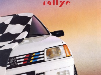 Carroceria 205 rallye documentada