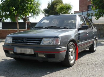 Peugeot 309 1.9 gt look gti