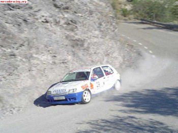 Clio williams grupo a 