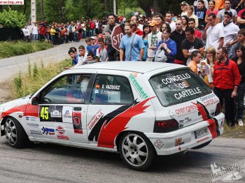 ****vendo clio williams gr:a chazel muy bueno****